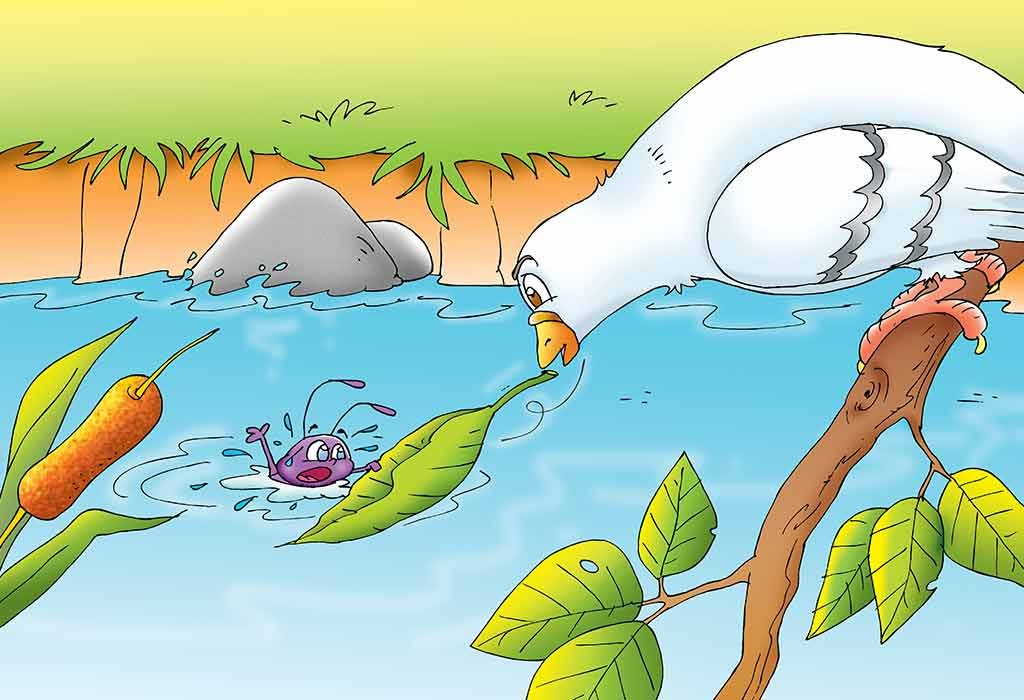 Kidi Ate Kabootar Di Kahani